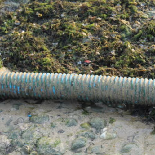 Sewer line